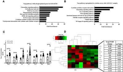 Influence of polymorphisms in TNF-α and IL1β on susceptibility to alcohol induced liver diseases and therapeutic potential of miR-124-3p impeding TNF-α/IL1β mediated multi-cellular signaling in liver microenvironment